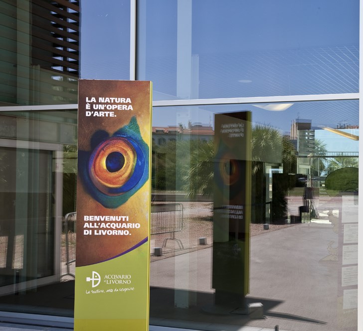 IMGL8890.jpg